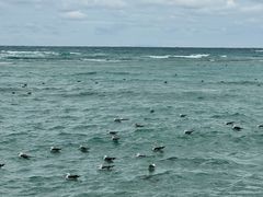 -咸德海水浴场