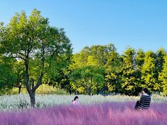 -上海浦江郊野公园-5号停车场