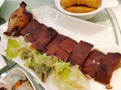 脆脆BB猪-翠园(北京王府中环店)
