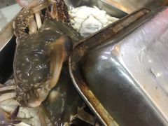 -王潮活海鲜自助·蒸汽海鲜