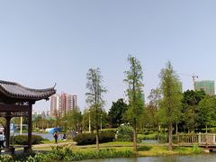 -飞来湖湿地公园