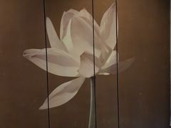 -上足·影院足道·SPA(红岭店)