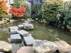 -上海崇明金茂凯悦酒店