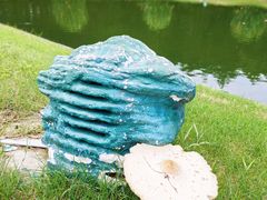 -迪茵湖田家舍生态农场