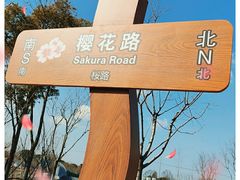 -顾村公园