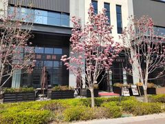 -风渡嘉荷西餐厅 Windy City(西三旗金隅店)