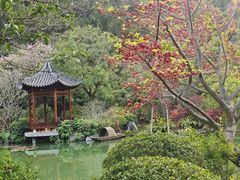 -云溪植物园