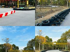 -上海海湾国家森林公园