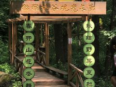 -大岭沟猕猴桃谷风景区