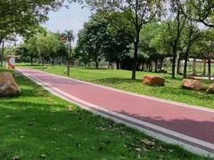 -飞来湖湿地公园