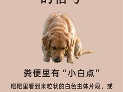 -瑞鹏宠物医院·骨外科·心肾科·肿瘤科(九亭店)
