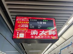 -大龙山(地铁站)