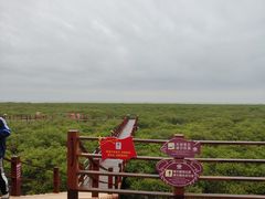 -北海金海湾红树林生态旅游区