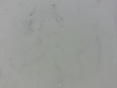 -巢爷老味(东方红店)