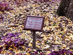 -上海方塔园