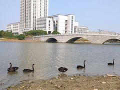 -江南大学(蠡湖校区)