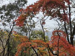 -五女山景区