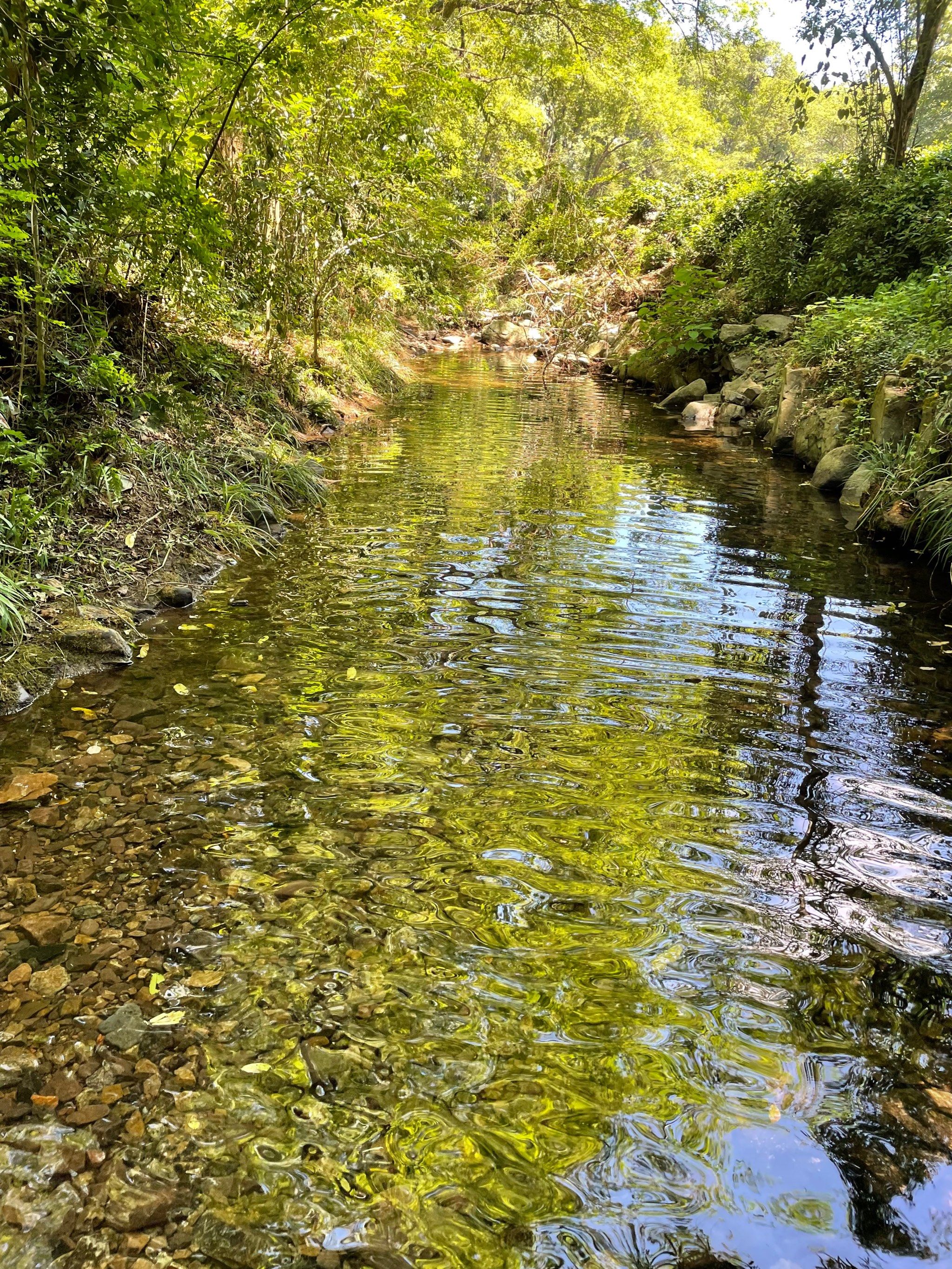 溪水潺潺伴我行
