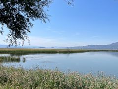 -野鸭湖国家湿地公园