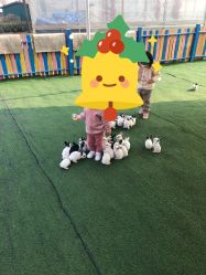 -萌宠亲子动物乐园(槐房万达店)