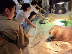 -Zoolung Zoolung动物主题公园(海信广场店)