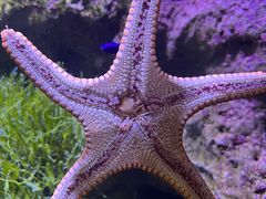 -郑州海洋馆