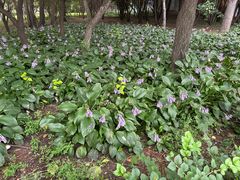 -长春公园(普阳街道)