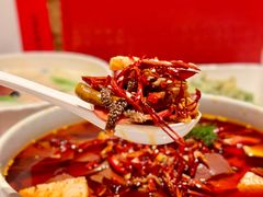 -洋洋中餐馆·SINCE 1997(龙湖星湖天街店)