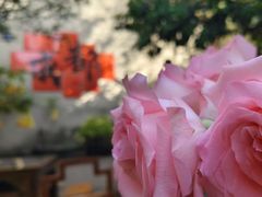 -三圣花乡旅游区