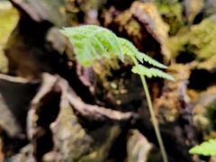 -陈熹公民族美食文化餐厅(中华广场店)