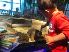 -昆明大悦城未来动物城(螺蛳湾中心店)