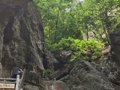 -大连天门山国家森林公园