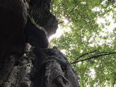 -九曜山