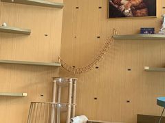 -飞行喵MR PILOT|猫舍·猫咖(静安大融城店)