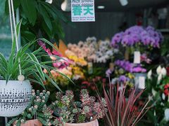 -循礼门鲜花花市(武汉循礼门店)