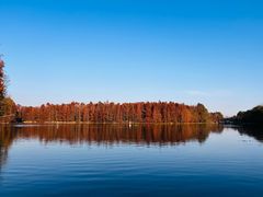 -上海海湾国家森林公园