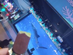 -烟台海昌鲸鲨海洋公园