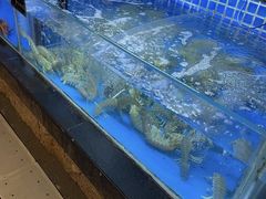 -徐记海鲜(大明宫|北二环店)