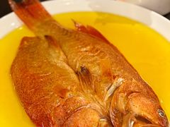 -甄御•海鲜新青岛菜(麦岛店)