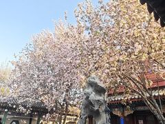 -莲池书院博物馆