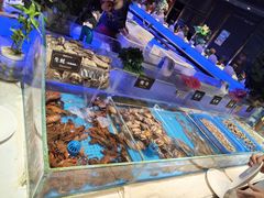 -加餐海鲜自助(宝龙一城店)