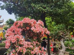-佛山市祖庙博物馆