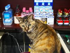 -协和菜馆(凤凰街店)