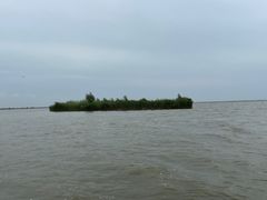 -哈素海