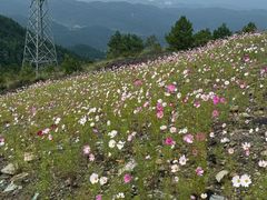 -龙里油画大草原旅游区