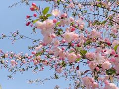 -Peet's Coffee皮爷咖啡(上海长风大悦城店)