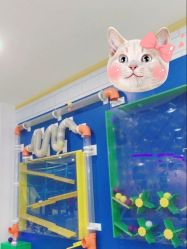 -菲菲羊乐园(临平银泰城店)