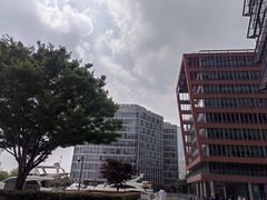 -上海港国际客运中心1号游艇码头