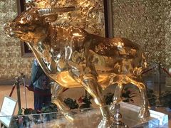 -华西龙希国际大酒店旅游观光景区