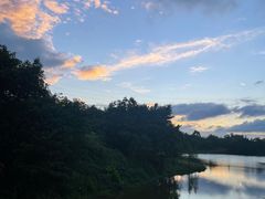 -美的鹭湖森林度假区